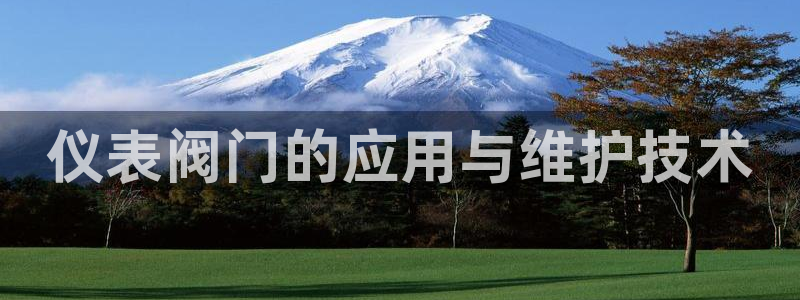 禹州云顶国际二手房