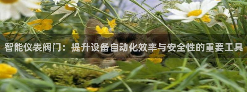 云顶国际公馆是公寓吗