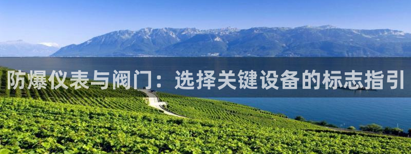 云顶国际游戏网址是什么