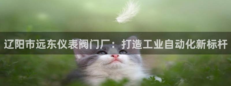 云顶国际app官方下载安装手机版