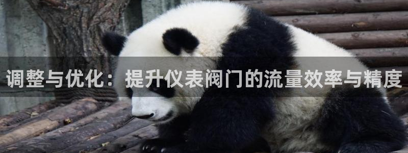 云顶国际服叫什么