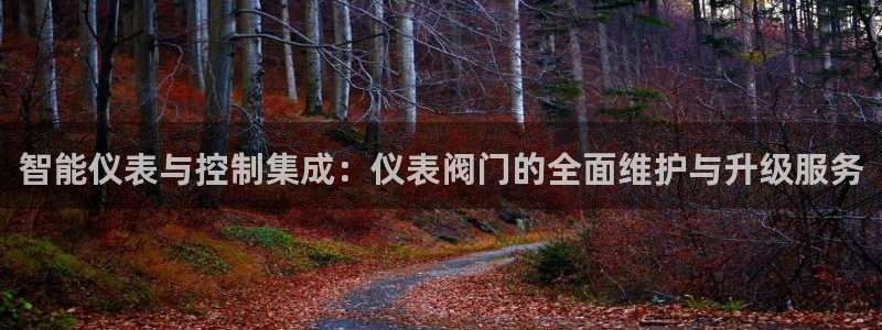 太原云顶国际酒店老板