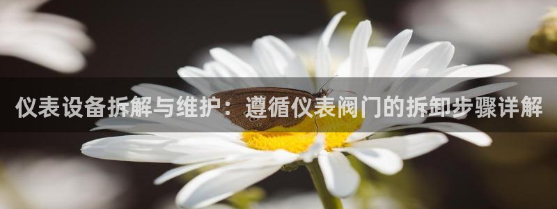 云顶国际俱乐部官网