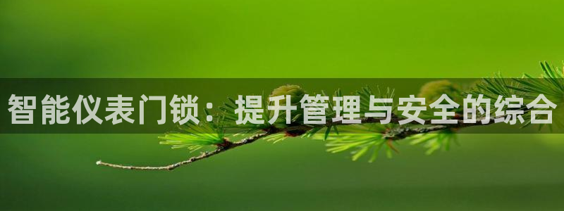 云顶国际app官方下载安装手机版