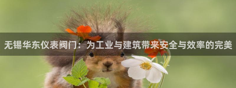 云顶国际服什么时候更新s10的