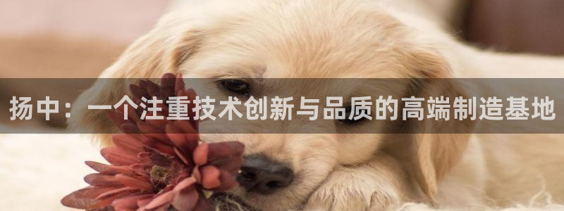 云顶国际服什么时候更新s115