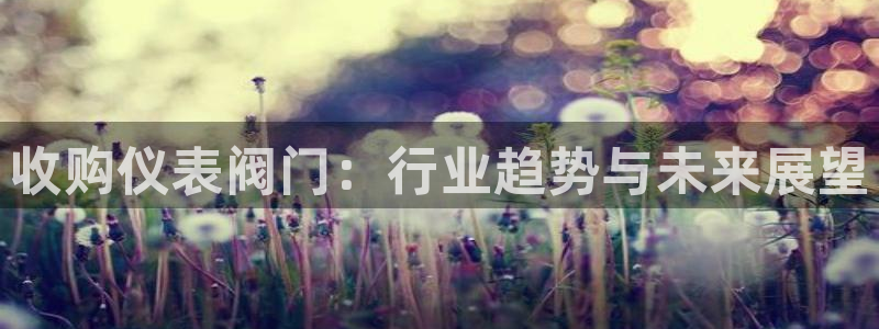 云顶国际二手房出售