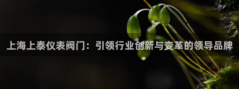 云顶国际俱乐部怎么样