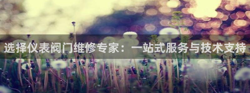 云顶国际二手房出售