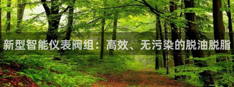 云顶国际集团发展有限公司国内项目总经理