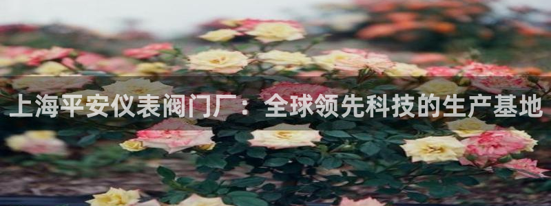 云顶国际提款不到账怎么回事