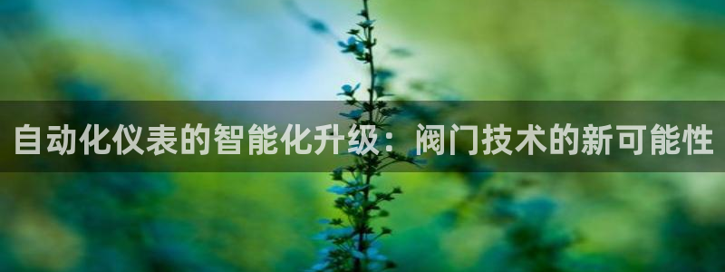 云顶国际电话号码查询