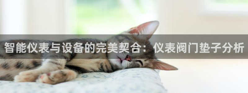 云顶集团投资是不是真的吗