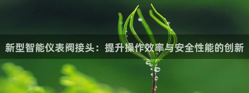 云顶国际服s10
