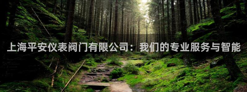 成山路800号(云顶国际商业广场a座101)电话