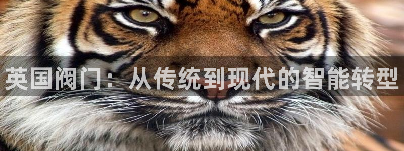 云顶国际高尔夫俱乐部地址