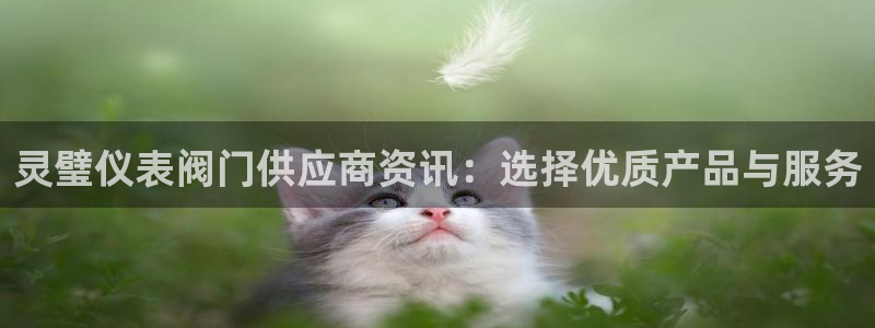 云顶国际服什么时候更新s9.5