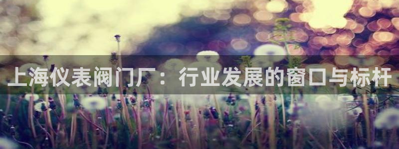 云顶国际app官方网站