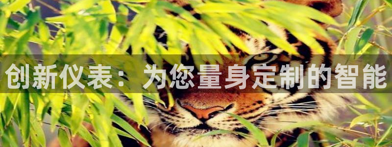 云顶国际官网app下载