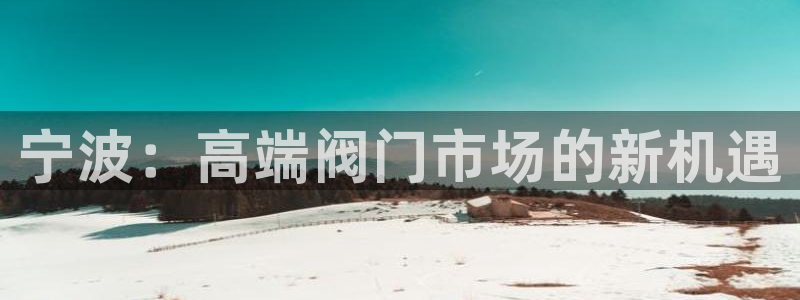 手游云顶国际服下载