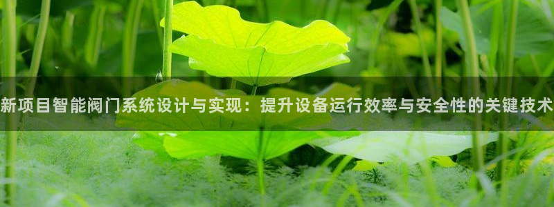 云顶国际休闲会所