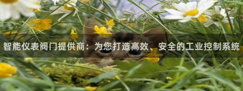 云顶国际服什么时候更新s10