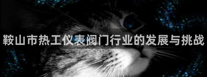 云顶国际晟荣协会荣誉奖项