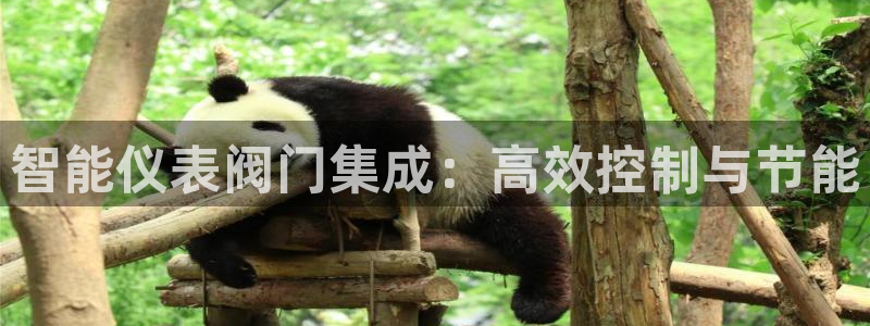 云顶集团有限公司简介地址