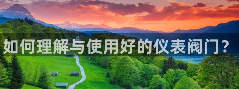 云顶集团是哪个国家的