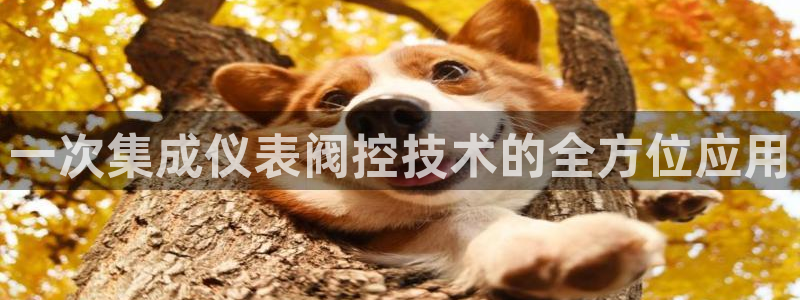 云顶国际下载APP