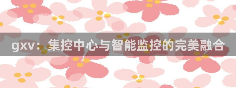 云顶集团林志华简介