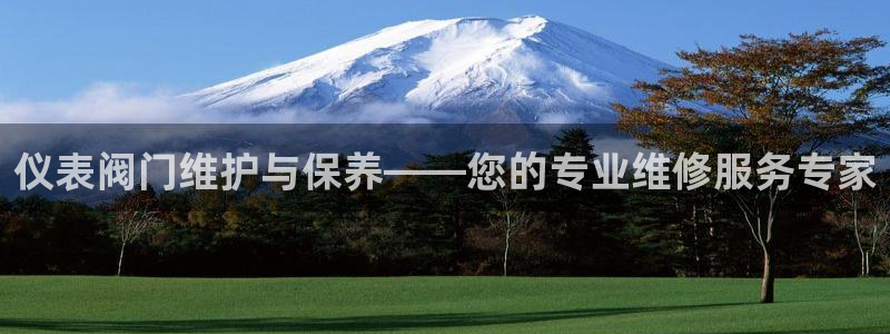 云顶国际服S9什么时候更新