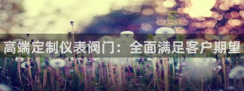 云顶集团有限公司简介资料