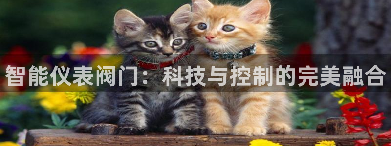 云顶国际酒店老板