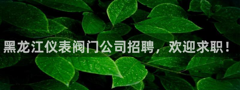 云顶国际app怎么样可靠吗