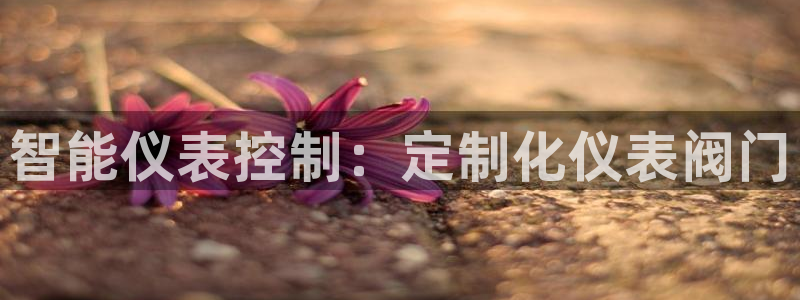 云顶集团有限公司招聘