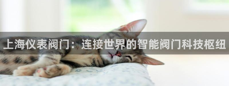 云顶集团在哪上市
