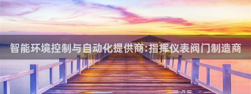 云顶集团有限公司