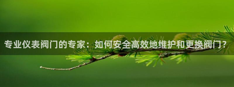 云顶国际游戏平台