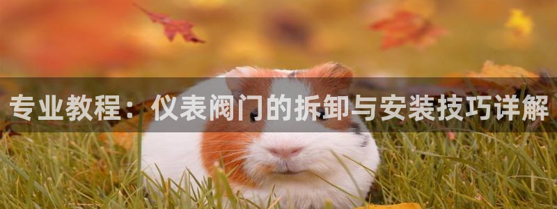 云顶集团游戏app网页版