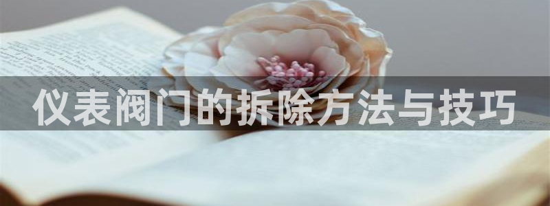 云顶国际版下载