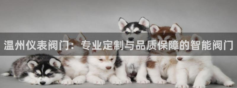 云顶国际服哪个服人多