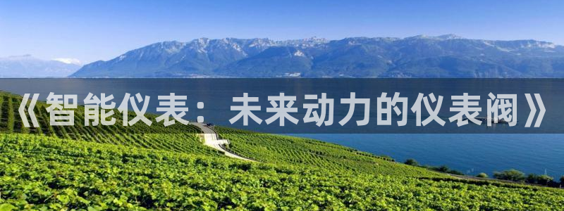 云顶国际游戏网址大全