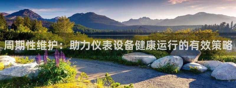云顶国际培训机构