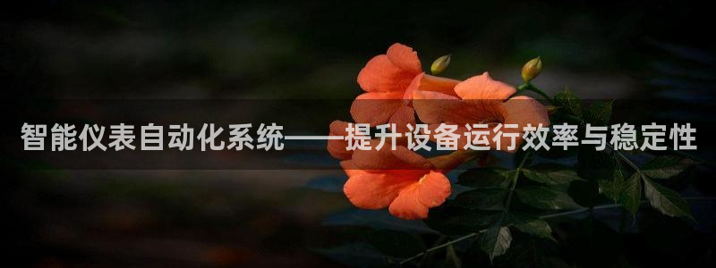 云顶国际服有中文吗