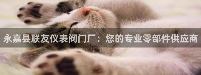 云顶国际服怎么玩