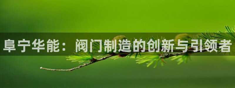 云顶游戏网站网址