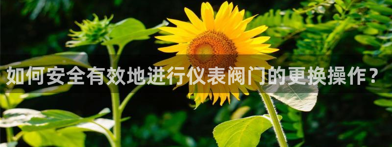 云顶国际物流