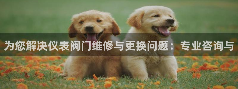 淮北市云顶国际俱乐部