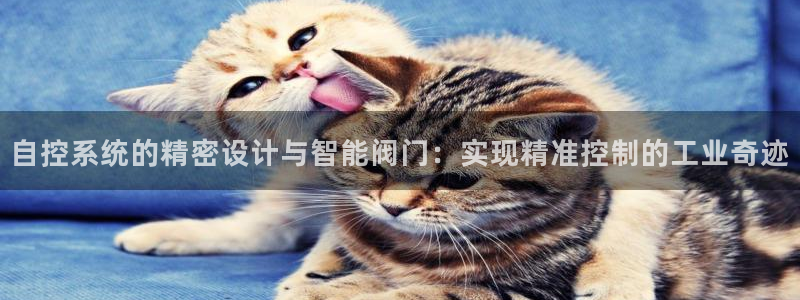 云顶手游国际服账号